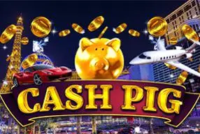 Cash-Pig